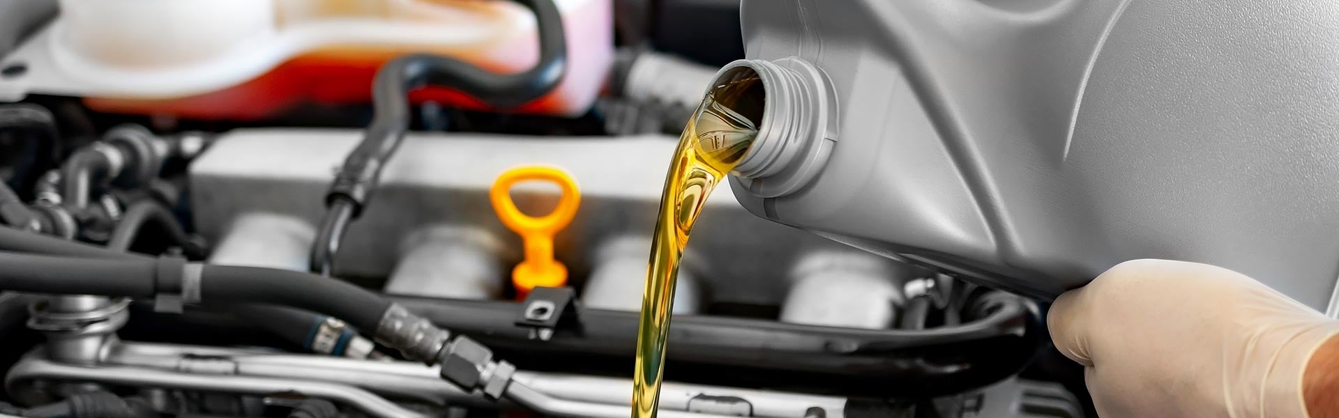 Synthetic Oil Change And Filter Replacement